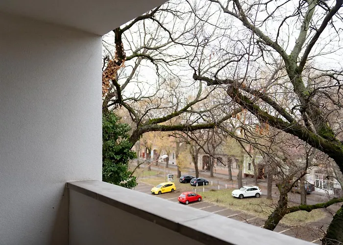 Debreczeni Daire Debrecen